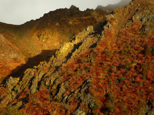 happy-geology:那須火山　朝日岳北面の直線的かつ平行な方向性を持つ火山岩の露岩帯The autumn colors enclose a series of planer and paral