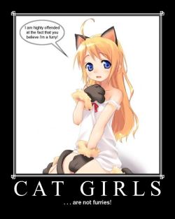 chi-cityhomie:  Catgirls mhmmm