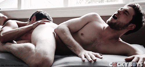 tumblr photo damienm4 0