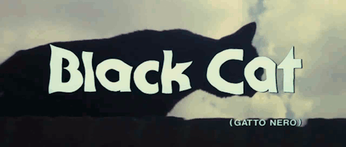wolf-at-your-door: The Black Cat- 1981