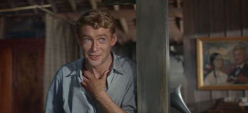 myfavoritepeterotoole: Lord Jim (1965) directed by Richard Brooks Peter O'Toole as Lord Jim