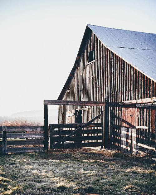 oldfarmhouse: Repost from #boxwoodavenue @instagram