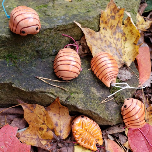  Isopod ornaments now live on Et*y! 20 different kinds to choose from!  etsy.com/shop/eattoast