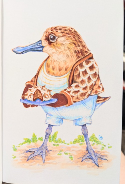 Avian August Day 25 - Spoon-billed Sandpiper With Baked Alaska