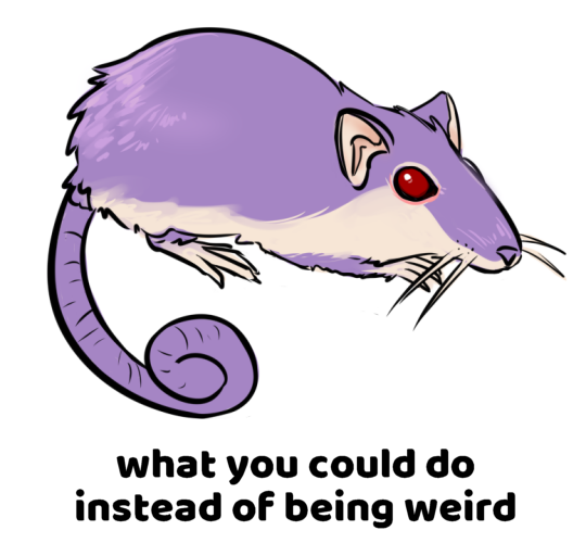hi