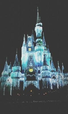 foolished:  Disney World 12/13 Went to Magic