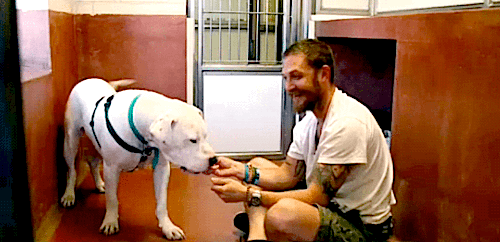 tomhardyvariations:Tom Hardy kissing a big, BIG love.Paul O’Grady was just on ITV’s This Morning to 
