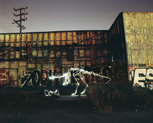 wacky-thoughts:  LED Light Paintings by Darren Pearson 