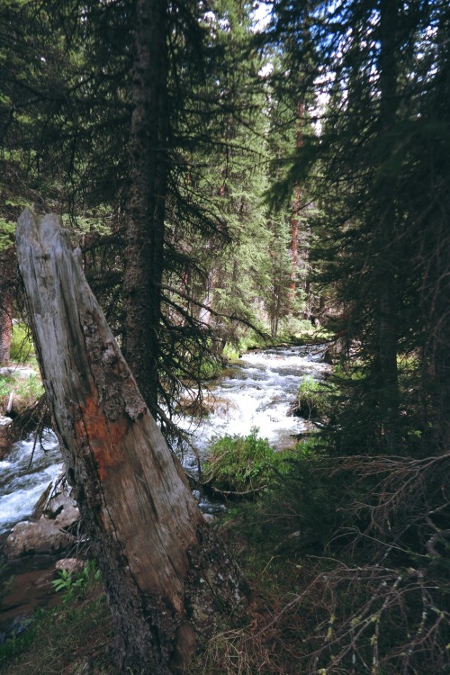 Deer Creek. Montezuma, Colorado. Photo by Amber Maitrejean
