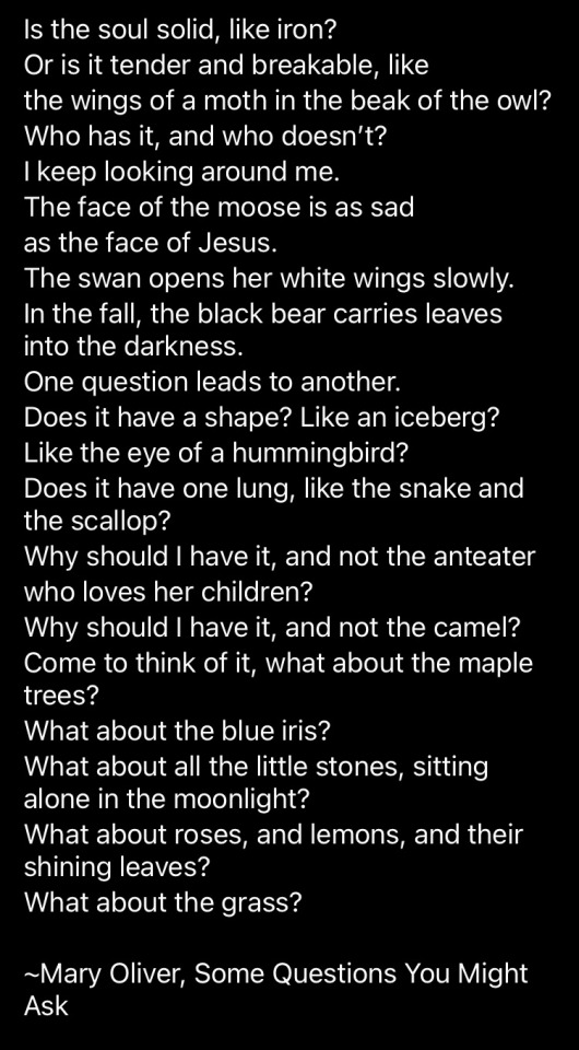 Some Questions You Might Ask Mary Oliver