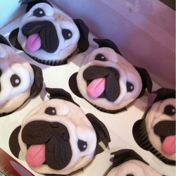 letlifehappenofficial:  #Pupcakes! Too cute!