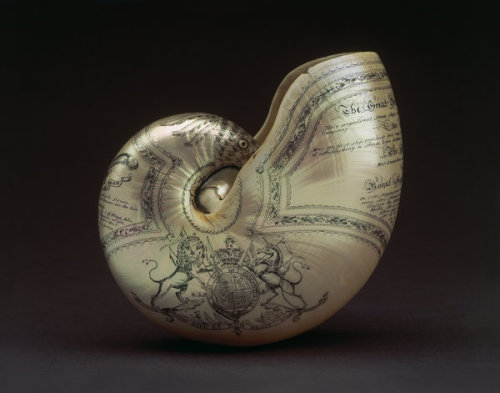 innerbohemienne:Nautilus shell scrimshaw, c.1845, dedicated to Queen Victoria; carved with a common 