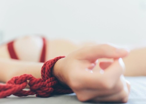 Shibari Dreams with Knotty Minds