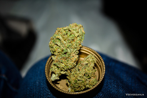 veeeveeeganja:  nugz 