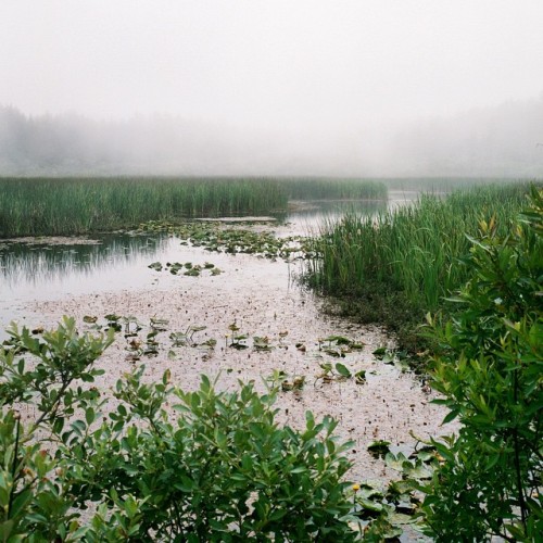 Love the morning fog #shawnaankenbrandt #travel #explore #film #wanderlust