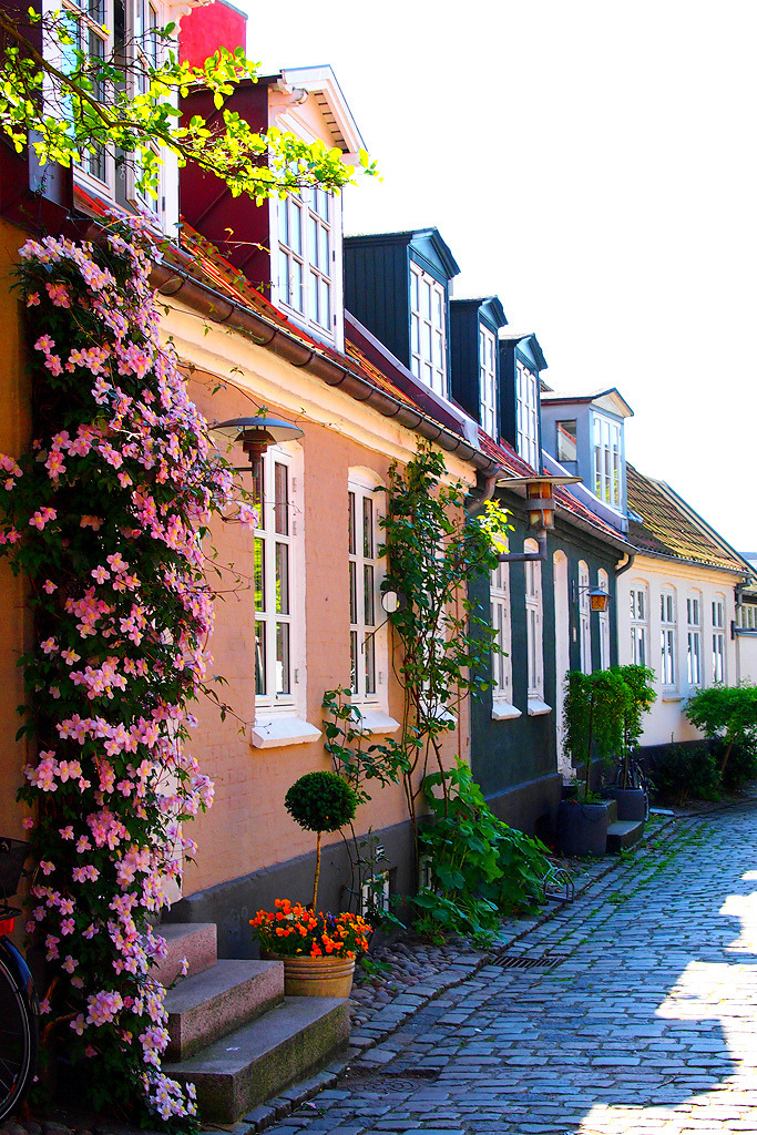 allthingseurope:  Aarhus, Denmark (by どこでもいっしょ) 