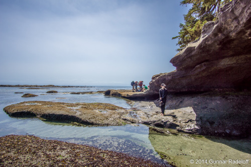 7.7.2014 - day 5 on the West Coast Trail - this trail is $^%@ing awesome!#BC #Canada #VancouverIslan