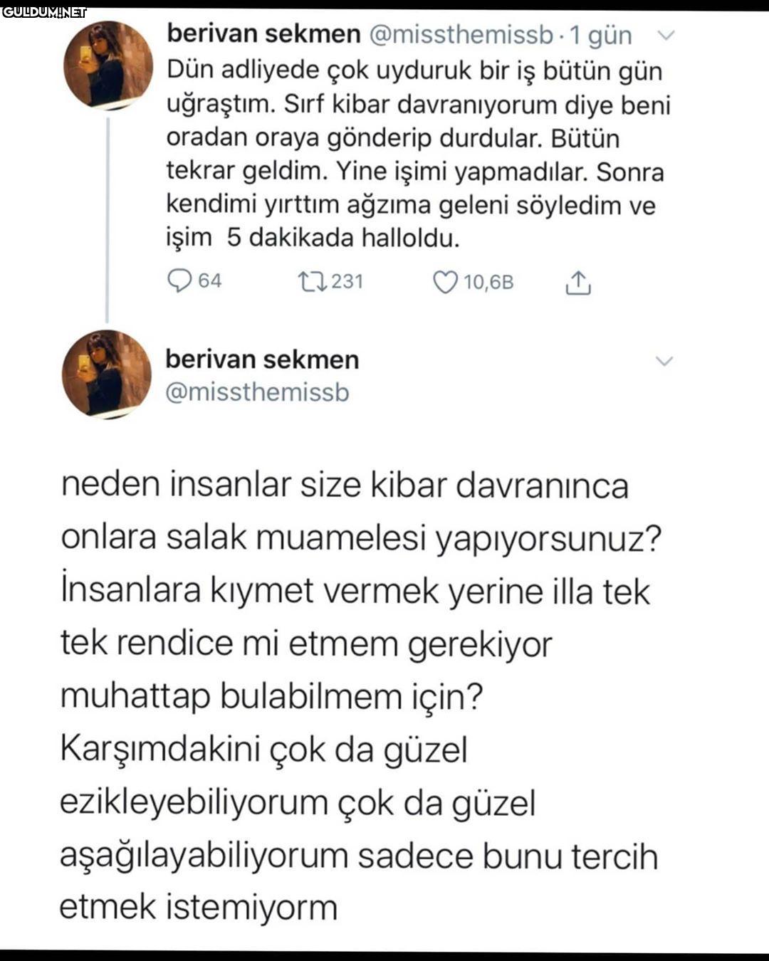 berivan sekmen...