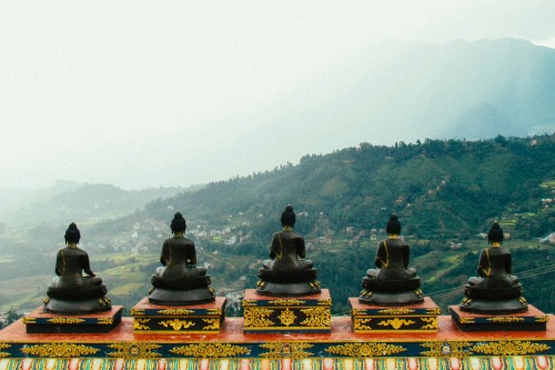 effervescentvibes:  ☾ good vibes here 