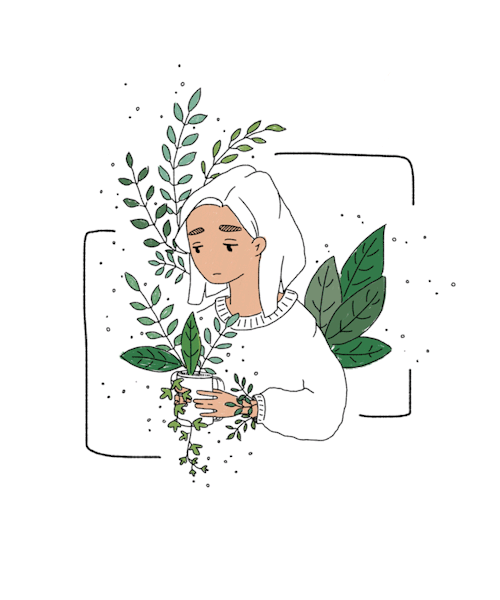 Meet My Plants🌱 