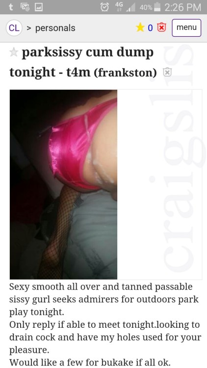 My Craigs List add :)