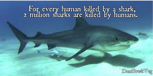 dontbreakveg: Just let that sink in for a minute.