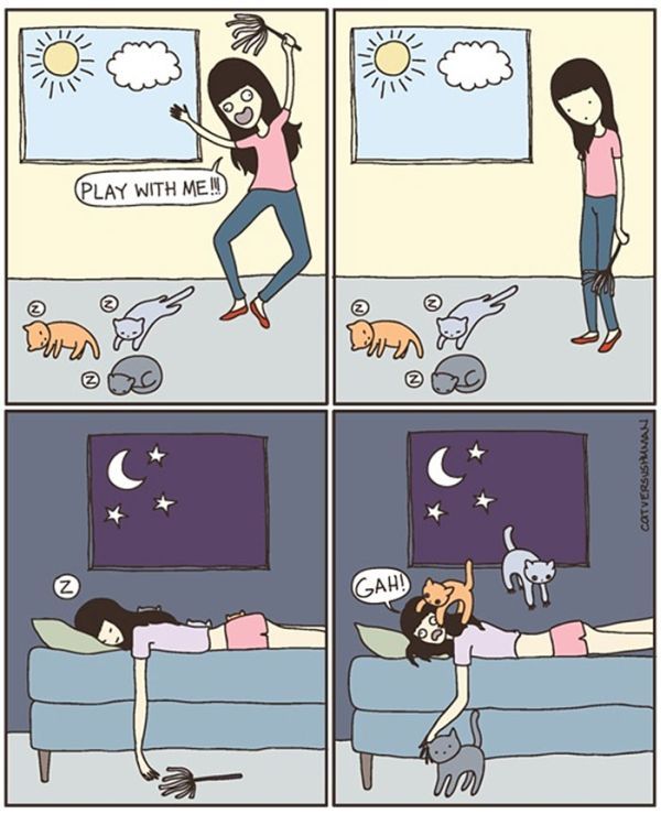 lurkdusoleil:  glitterdammerung:  jeniphyer:  pr1nceshawn:  What it’s like to have