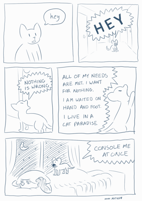 lexyeevee:Please enjoy this comic about my cat, Anise