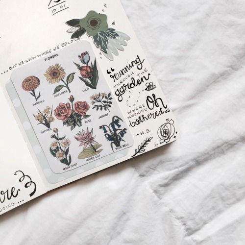 hannybstudies:  bullet journal hack ‪✧   the “polaroid” was found online (although I can