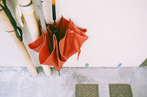 the-englishroses:  untitled by 無口阿松Amatsu on Flickr. 