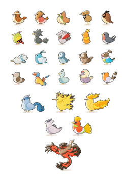 jenmondain:  I managed to actually make a single new print for SMASH! YEAH! BIRD POKEMON!! 