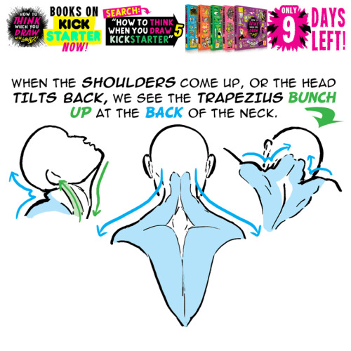 NECK MUSCLES! NINE DAYS LEFT until my tutorials books COMPLETELY SELL OUT! My set of 200-page TUTORI