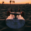 beachsk8r