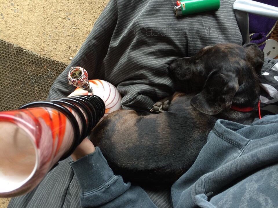 the-addiction-of-you:  elli may ♡