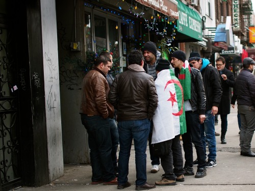 Africa Cup of Nations 2015. Algeria 1 - Côte d’Ivoire 3 1 February 2015, 2:30 pm. Egyptian Coffee Shop, Astoria Steinway Street in Astoria was filled with Algerian fans ahead of the quarterfinal match between Les Fennecs and Les Éléphants.
Hundreds...