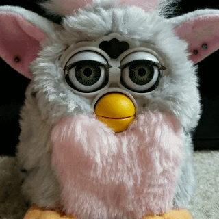 fake-furby:More gifs of my furbs! #oh i love these! #gif#gifs