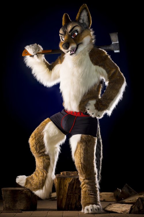 fursuitpursuits: RT @Tom_Lord: “He’s a lumber'Jack’ and he’s OK” hahaha!… I will show myself out…. #