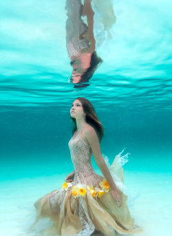 beautyeternal:  Added to  Beauty Eternal  - A collection of the  most beautiful women. pedalfar:  Ocean Flower by ElenaKalis  