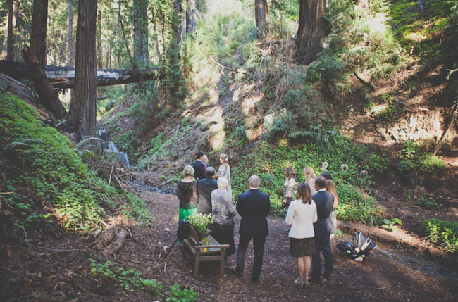 womaninthewoods:  This is exactly what I want. 