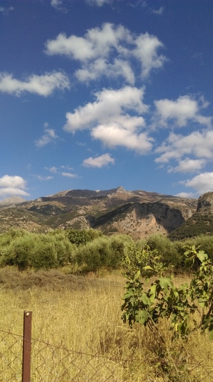 Καρφί - Karfi(or Karphi)Αβδού, Κρήτηtaken at Avdou Crete, GR © marmar. 2016