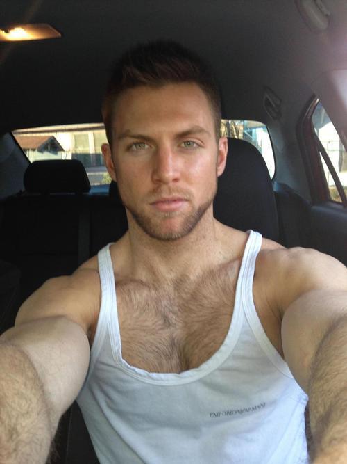 nftoddybear: