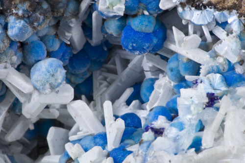 fuckyeahmineralogy:  Dundasite on Hydrocerussite; Tsumeb Mine, Namibia