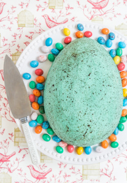 sweetoothgirl:    Giant Chocolate Speckled Egg Cake