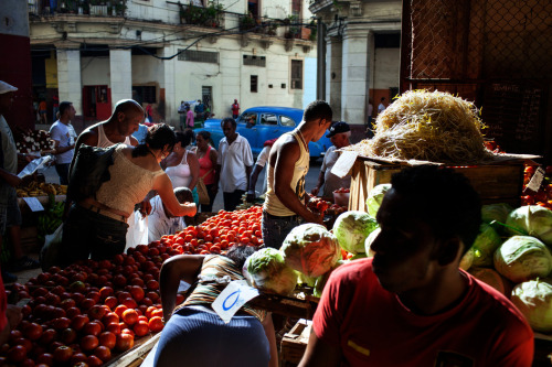 cubaypuertoricoson: The Quatro Caminos food market in Centro Havana. Havana, Cuba 2011.