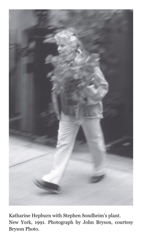 katharinehxpburn: kate–hepburn: Stealing Stephen Sondheim’s plant for the aesthetic. 199