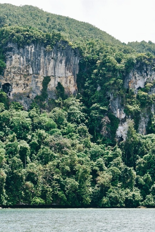 The Tagbanwa people are one of the oldest ethnic groups in the Philippines.The Tagbanwa people 