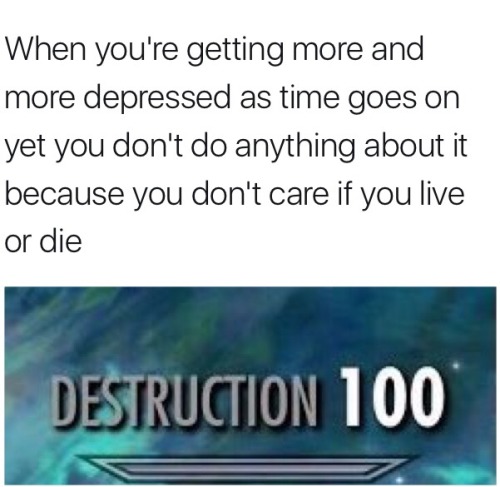 memeousthememeguy