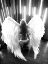 theangelandherdevil1: