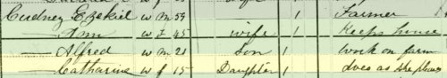 justasmallfluff: english-idylls: From the 1880 Census:  Occupation of 15-year-old Catharine Cu
