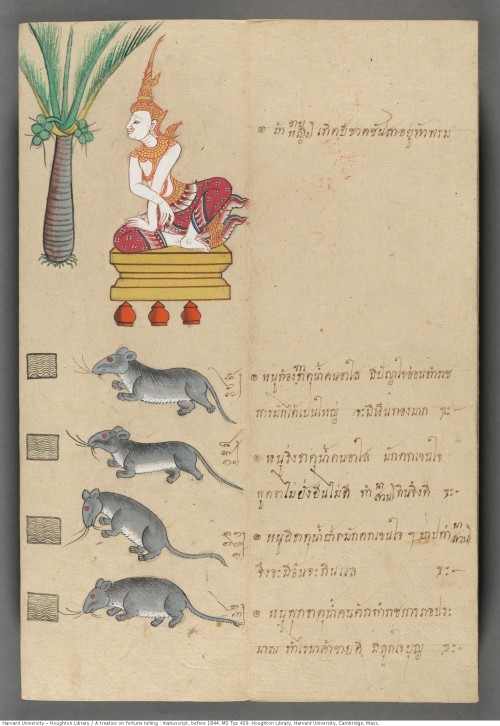Thai treatise on fortune telling : manuscript, before 1844.MS Typ 439Houghton Library, Harvard Unive
